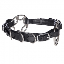 Caval Star Cavesson Bitless Bridle Noseband